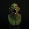 Hera Models Orc Bust