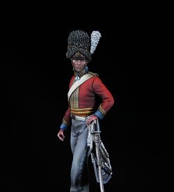 Scots Greys,Officer