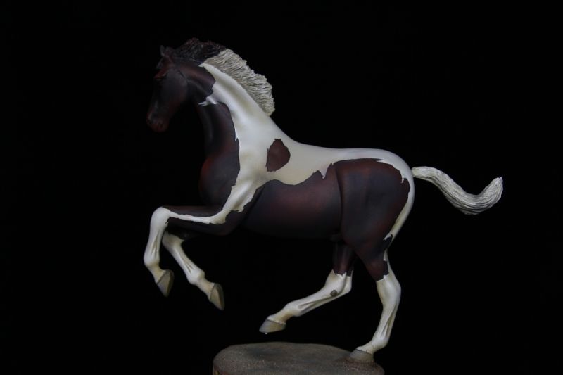 Paint Horse..