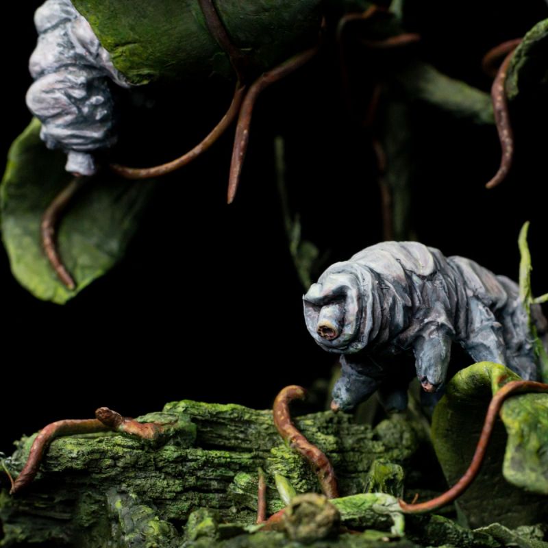 Tardigrades by Ben 