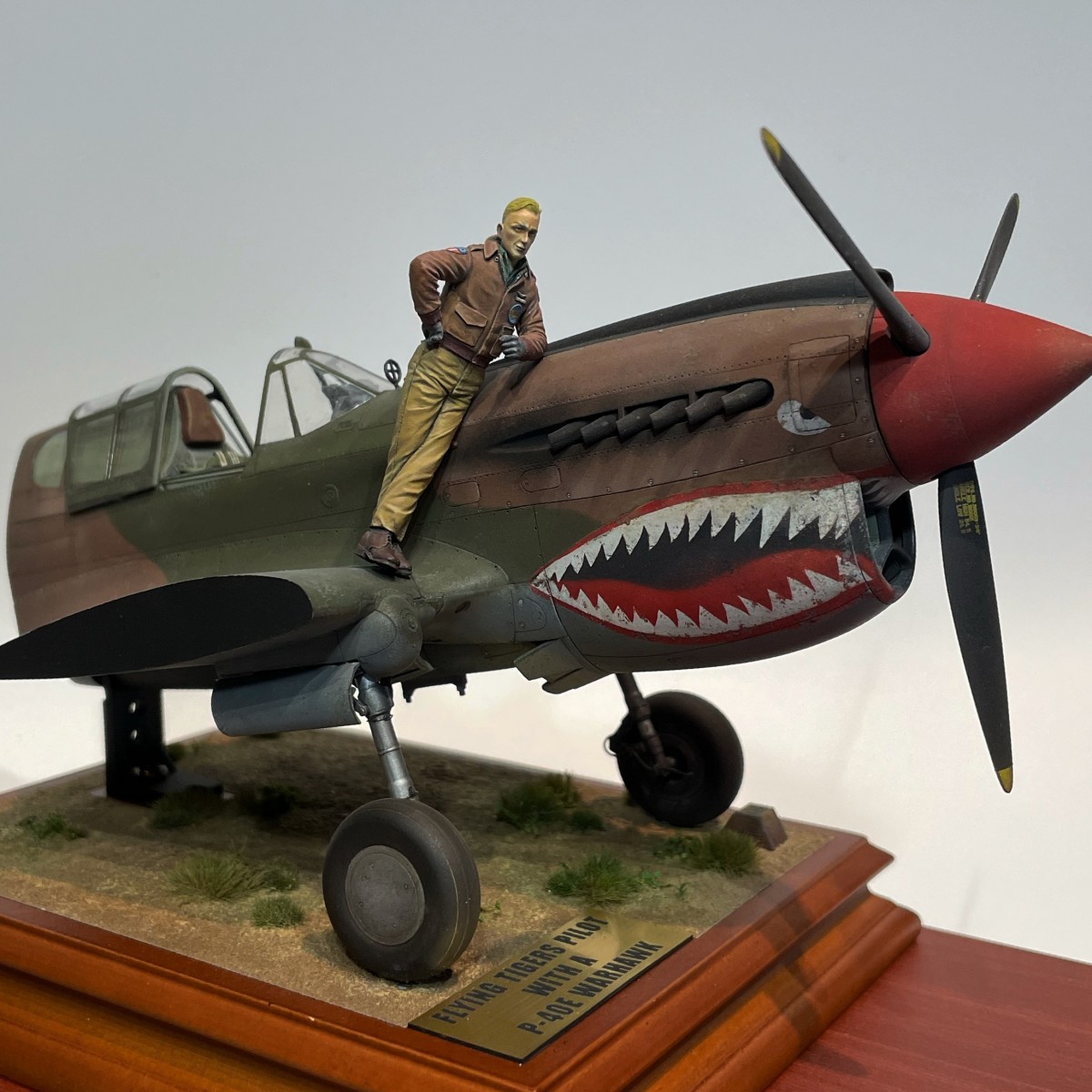 Flying Tigers pilot & P-40Warhawk by akitaka-misenai · Putty&Paint
