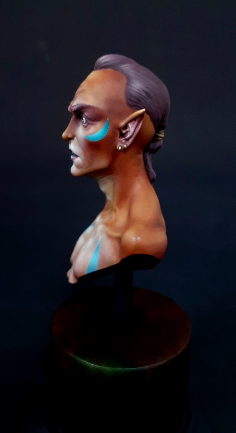 Elf Academic Bust