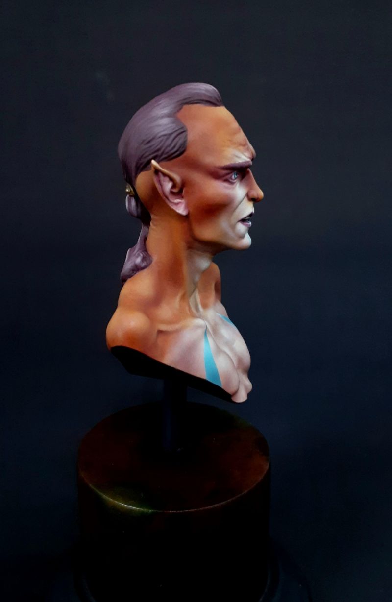 Elf Academic Bust