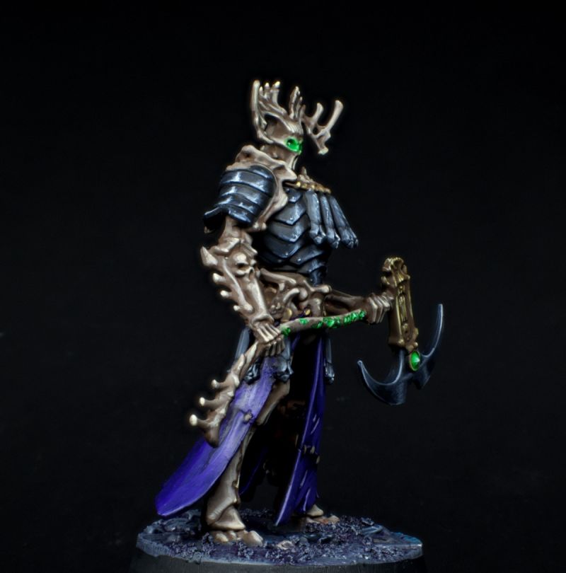 Mir Kainan from the Ossiarch Bonereapers Warhammer underworlds Team