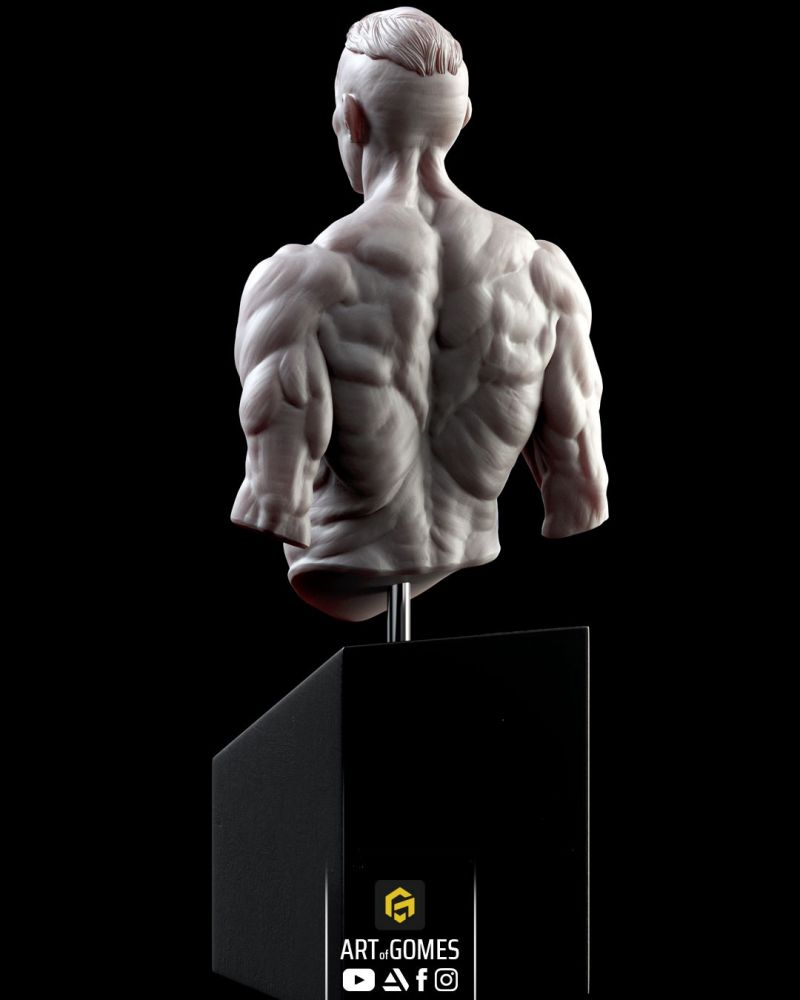 Strength and Determination: A Male Bust in Prime Physical Form