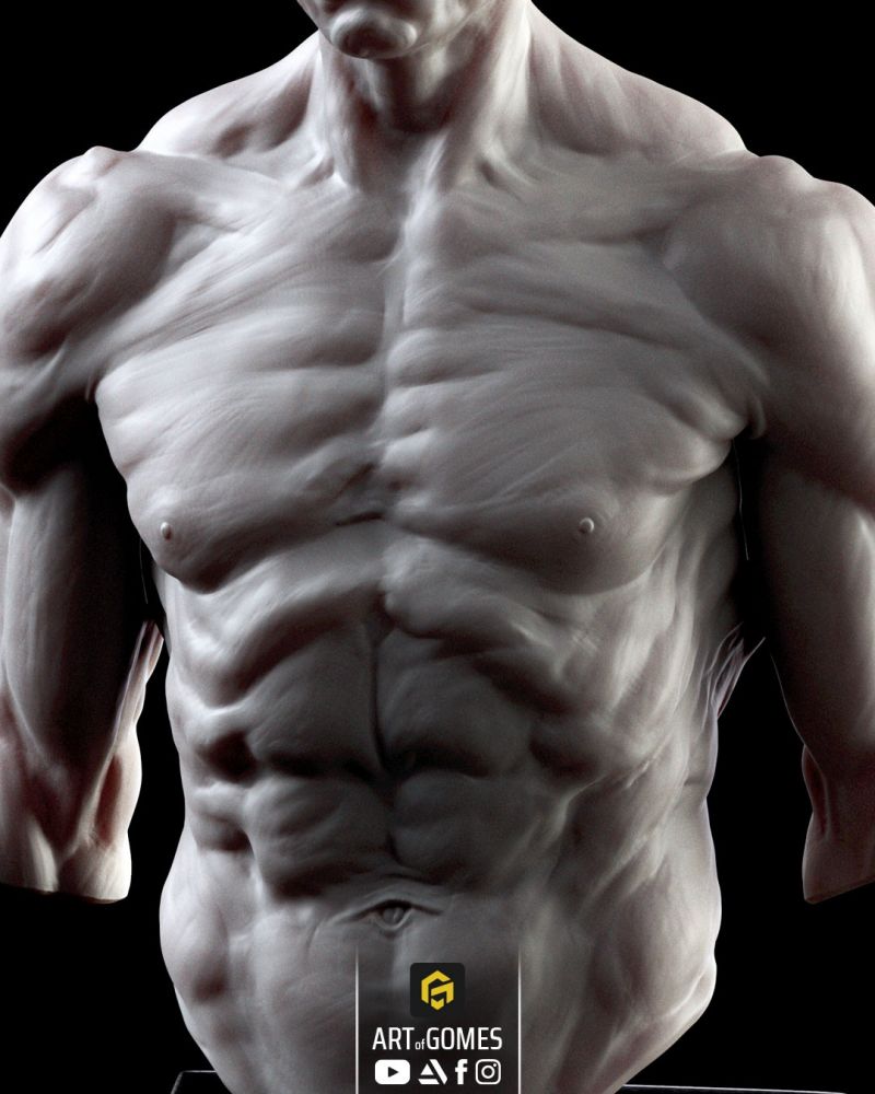 Strength and Determination: A Male Bust in Prime Physical Form