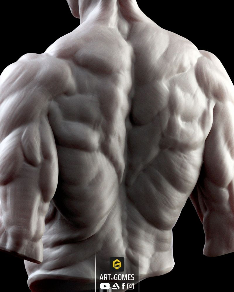 Strength and Determination: A Male Bust in Prime Physical Form