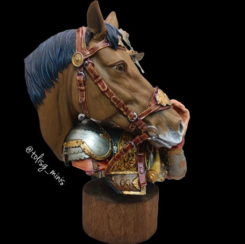 Comradeship Polish Hussars 17th cent , 1/10 (200mm) bust