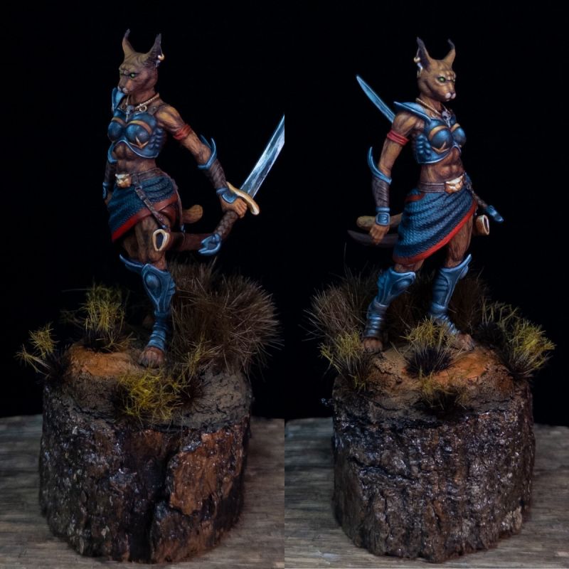 Tabaxi Caracal Rogue