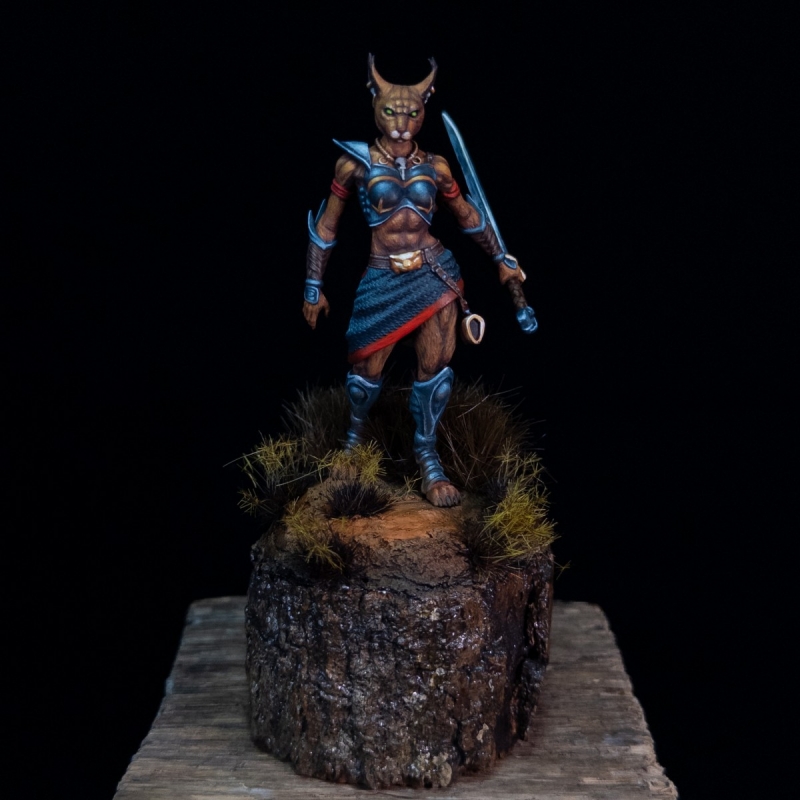 Tabaxi Caracal Rogue