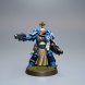 Ultramarine, Sternguard Veteran