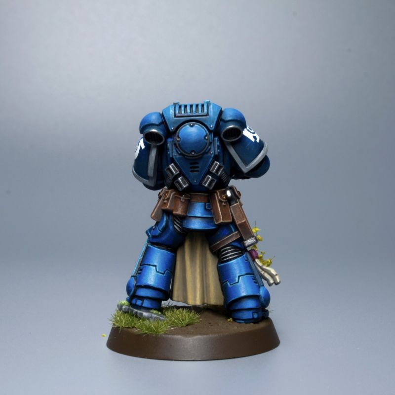 Ultramarine, Sternguard Veteran