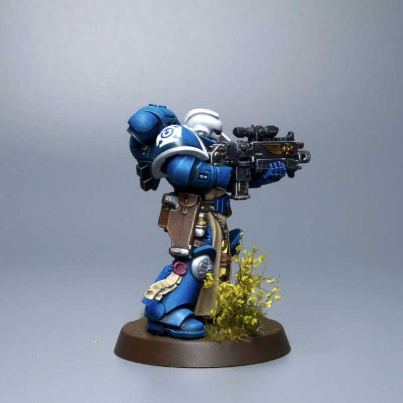 Ultramarine, Sternguard Veteran