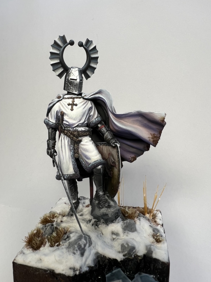 Teutonic Knight