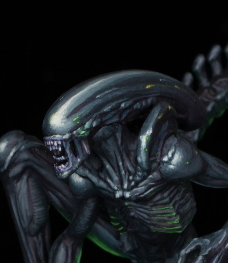 Xenomorph