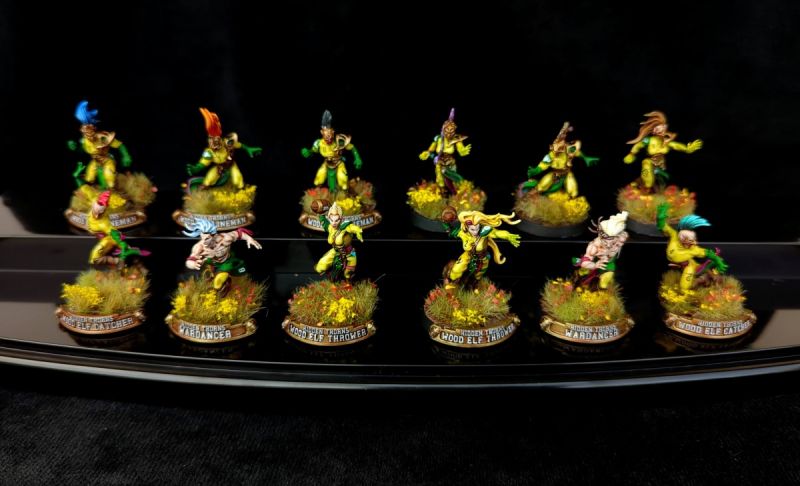 Blood Bowl Wood Elf Team