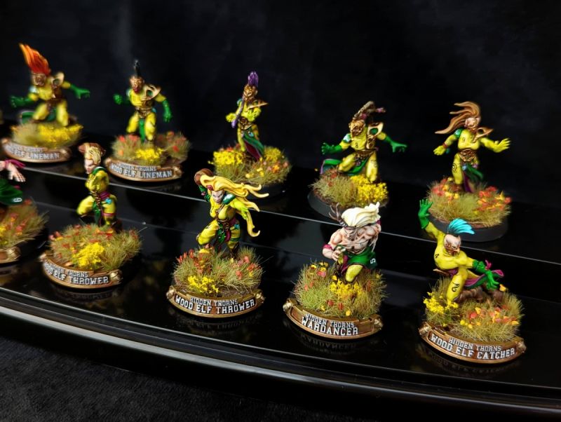 Blood Bowl Wood Elf Team