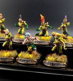 Blood Bowl Wood Elf Team