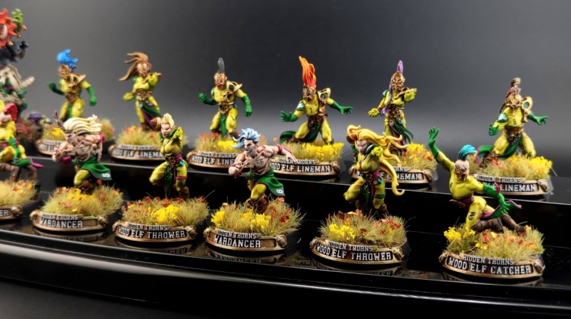 Blood Bowl Wood Elf Team