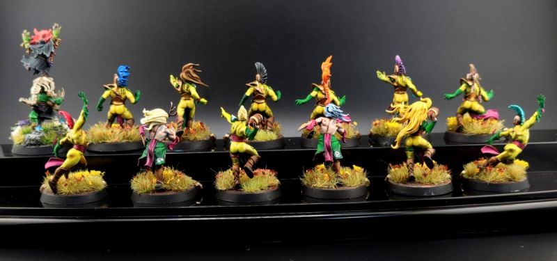 Blood Bowl Wood Elf Team