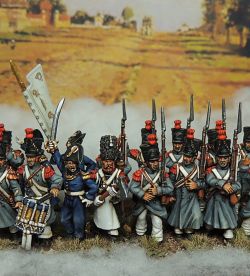 28 mm French Young Guard 1°Regiment of Tirailleurs