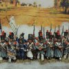 28 mm French Young Guard 1°Regiment of Tirailleurs