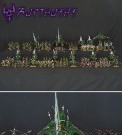 Drukhari webway furious women army