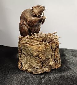 The Beaver