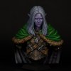 Drizzt Do’Urden bust