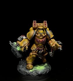 Imperial Fists in chaos ruins