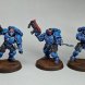 Primaris Reivers