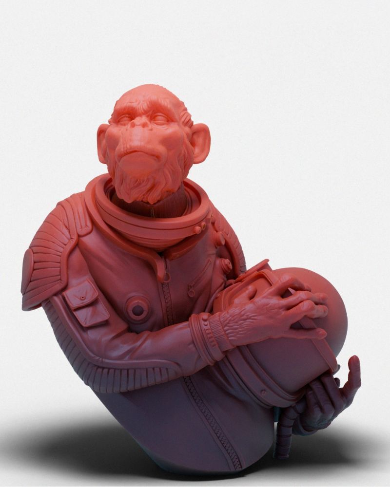 Chimp Astronaut