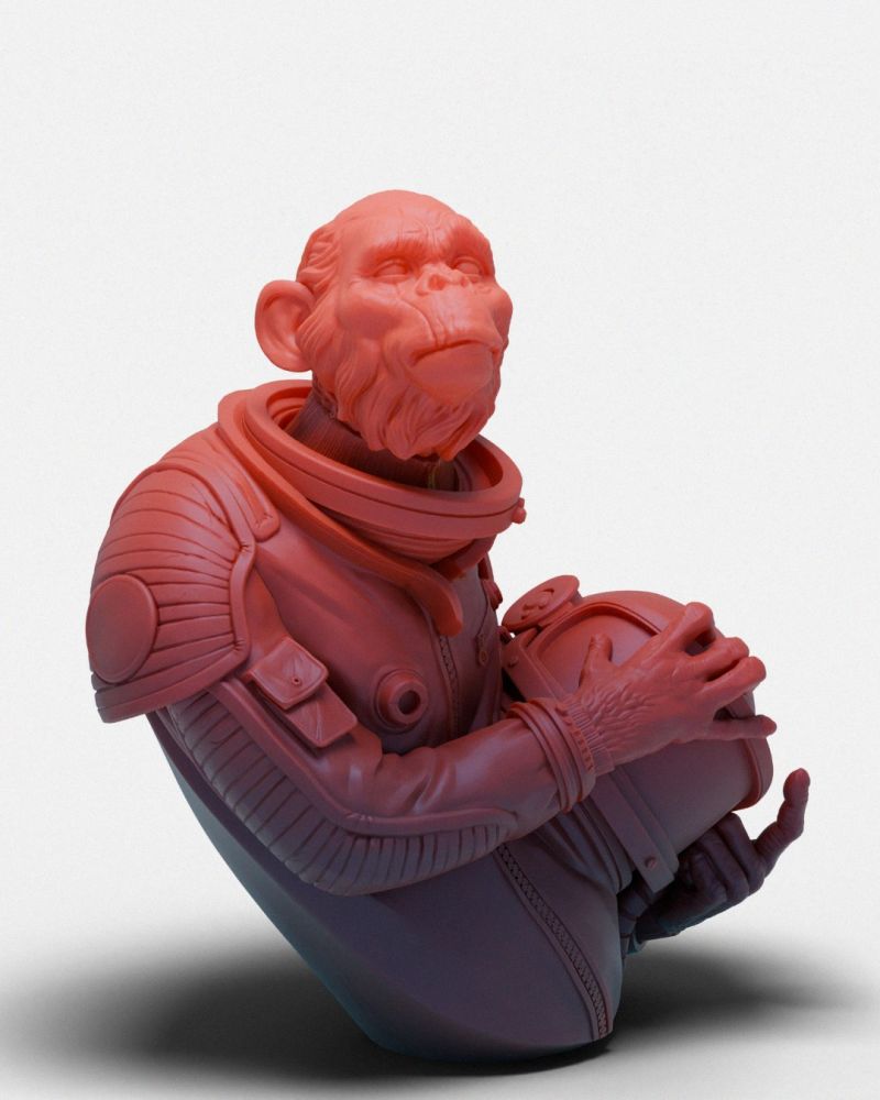 Chimp Astronaut