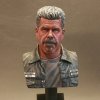 Sons of Anarchy Ron Perlman