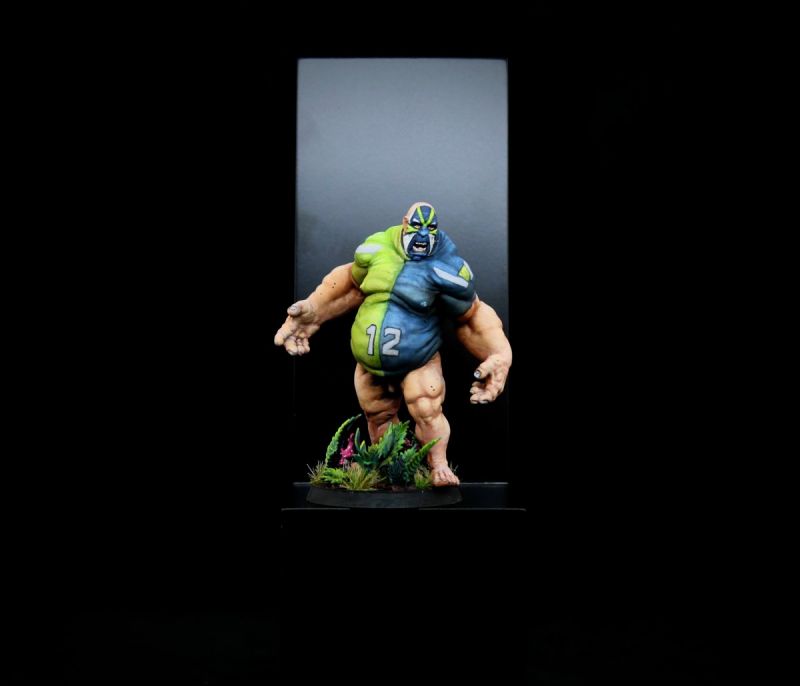 The 12th Man - Blood Bowl Ogre